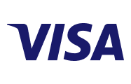 виза
